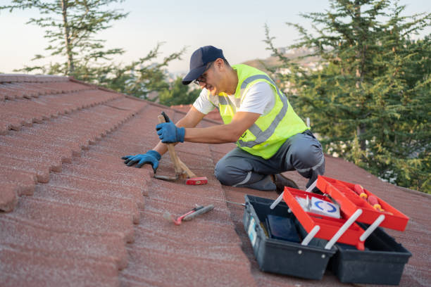 Best Roof Ventilation Installation  in Groveland, FL